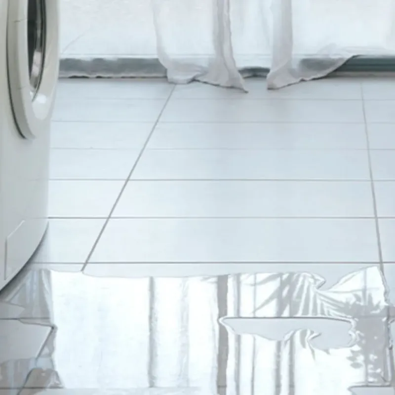 Appliance Leak Cleanup in Southgate, MI