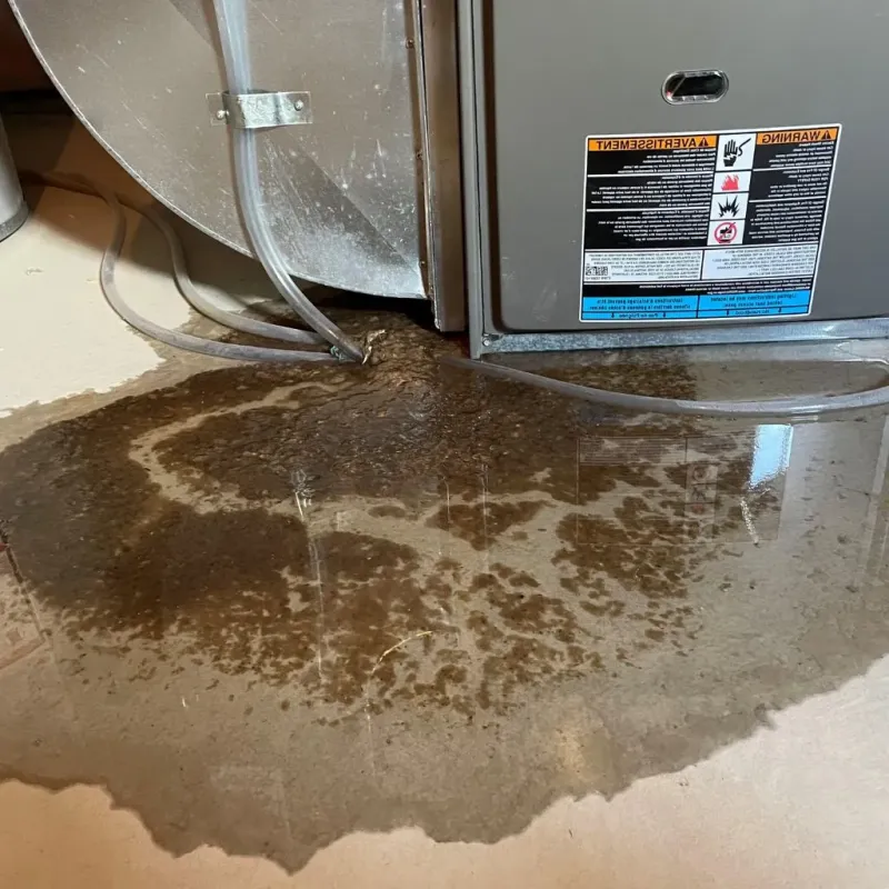 Pipe Burst and Leak Restoration in Southgate, MI